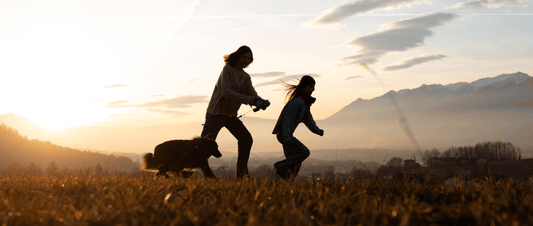 5 Fun Ways to Spend Active and Enjoyable Time with Your Dog 🐕🎉 - MakPaws
