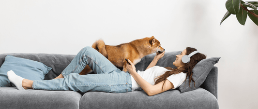 🐶🏡 Collars On or Off: What's Best for Your Pup at Home? 🏡🐾 - MakPaws
