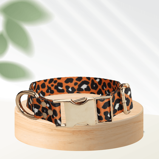 Orange Slip Classic Leo Dog Collar - MakPaws