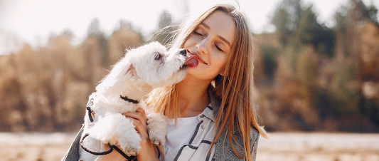 5 Wonderful Ways to Build Strong Bonds with Your Dog 🐾💖✨