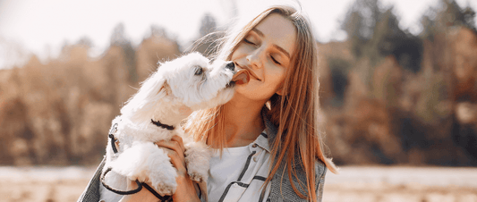 5 Wonderful Ways to Build Strong Bonds with Your Dog 🐾💖✨ - MakPaws