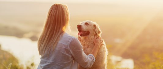 🐾 The Extraordinary World of Dogs: Surprising Facts and Legendary Tales 🌟 - MakPaws