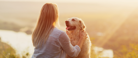 🐾 The Extraordinary World of Dogs: Surprising Facts and Legendary Tales 🌟