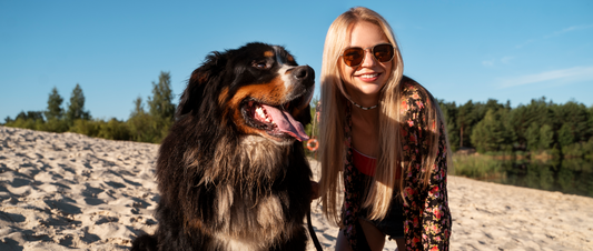 🐶🔗 Dogs and Their Collars: Symbols of Loyalty and Trust - MakPaws