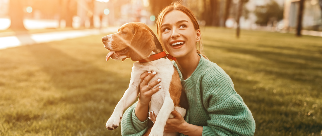 🐾✨Meet Makpaws: Where Style and Comfort Collar-ate! - MakPaws
