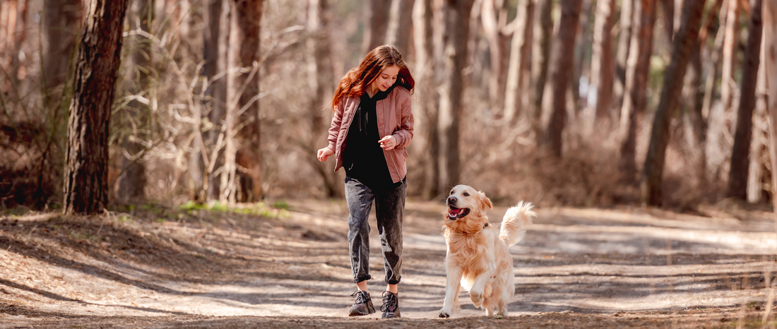 🌟 Walking the Talk: Why Your Dog Needs to Walk! 🌟