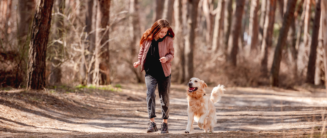🌟 Walking the Talk: Why Your Dog Needs to Walk! 🌟 - MakPaws