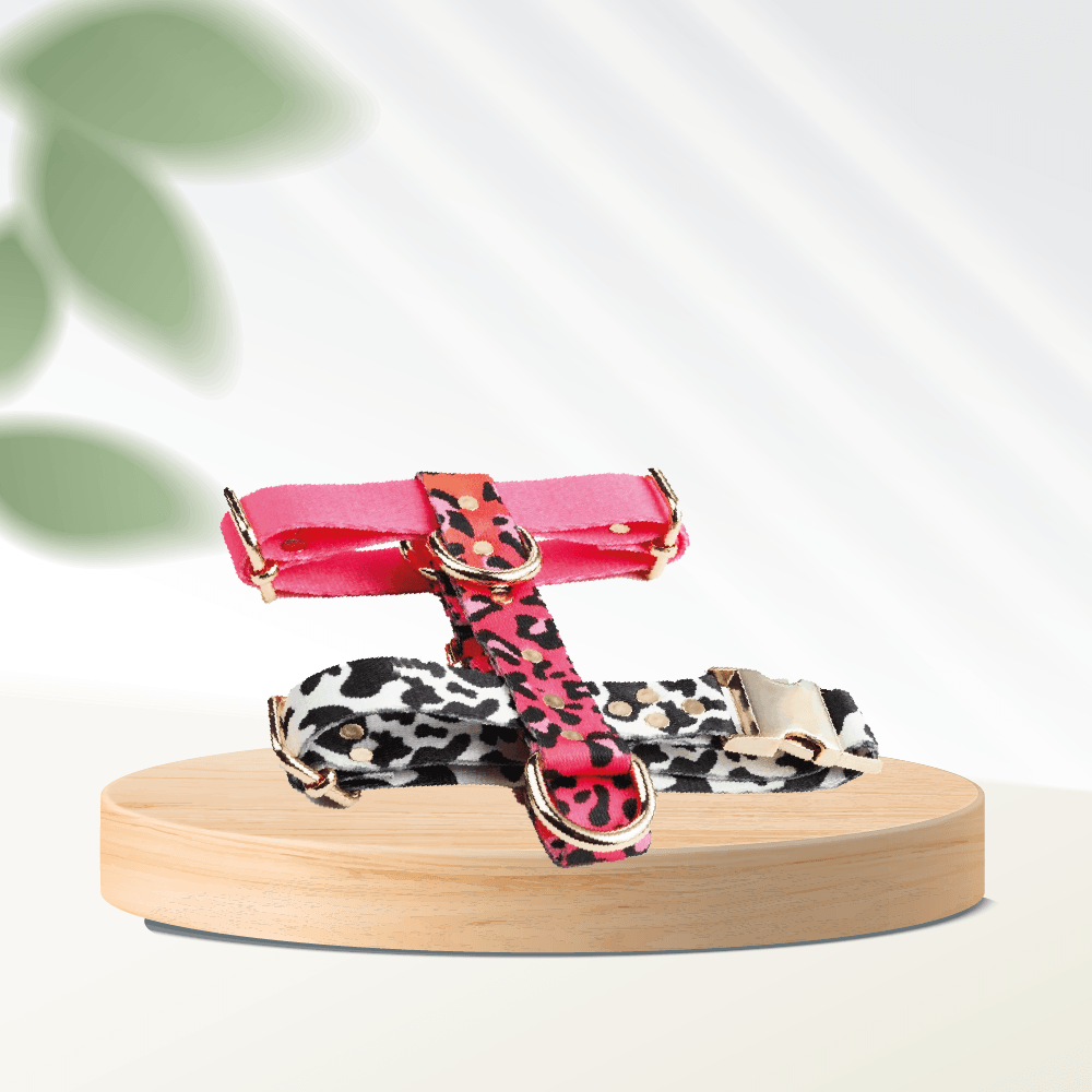 Candy Leo Dog Harness - MakPaws
