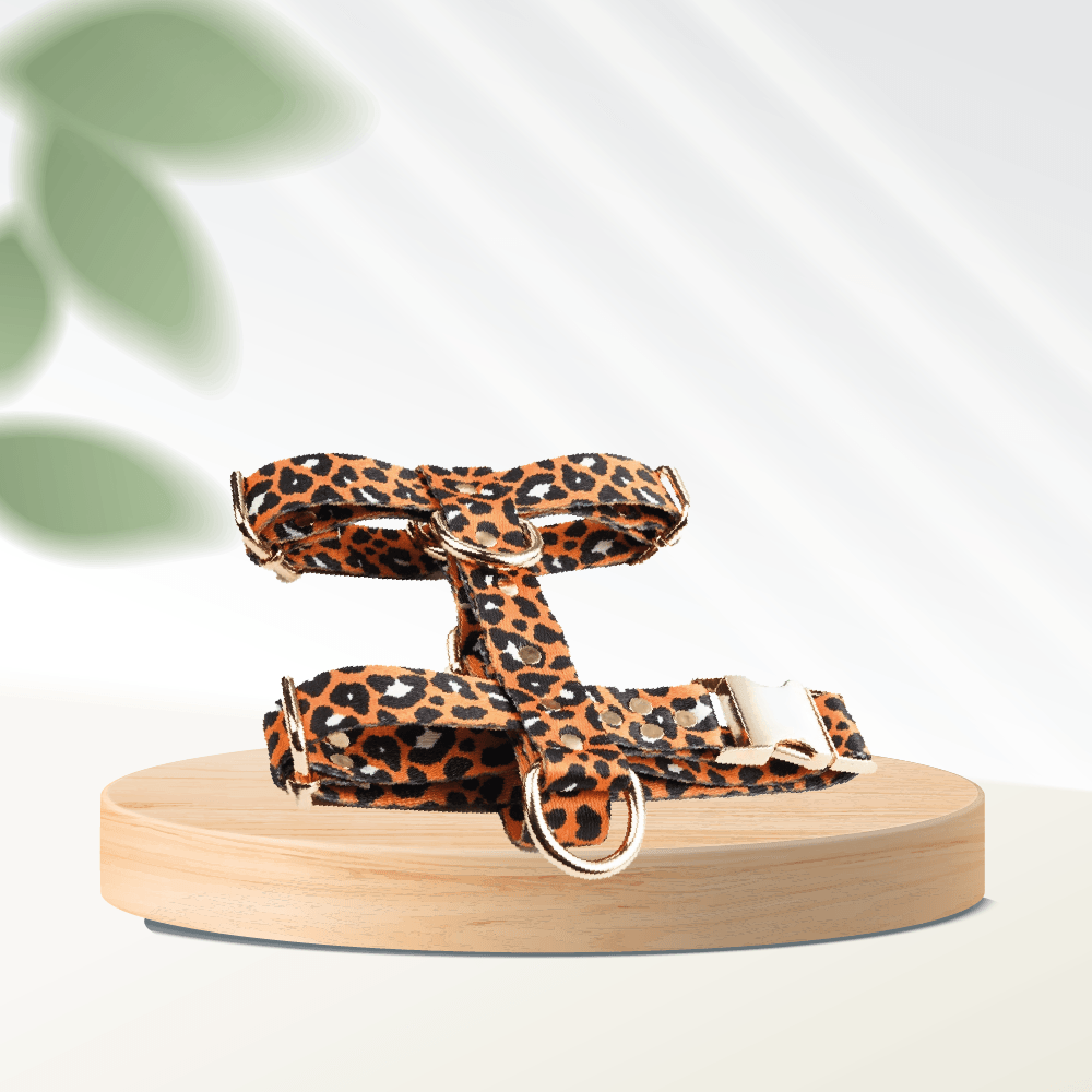 Orange Leo Dog Harness - MakPaws