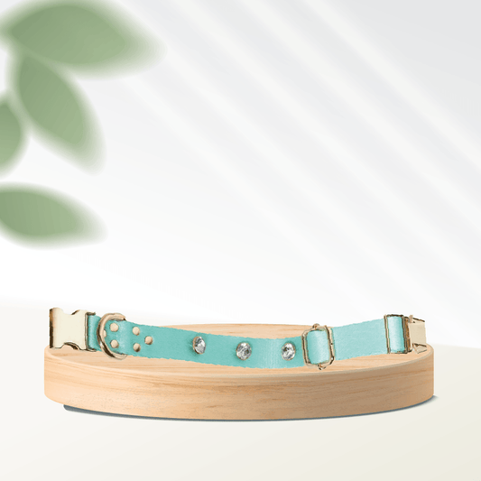 Diamond-Mint Dog Collar