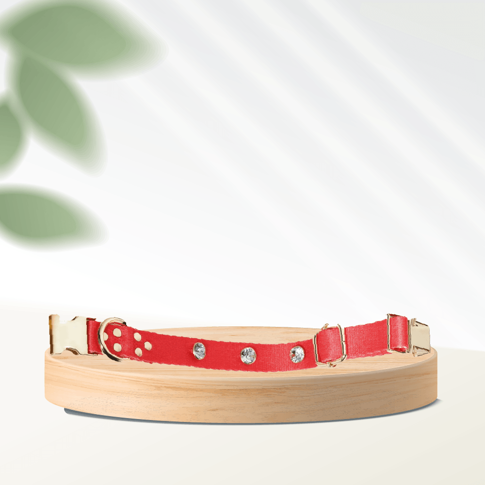 Diamond-Red Dog Collar