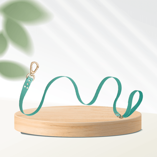 Diamond-Mint Dog Leash