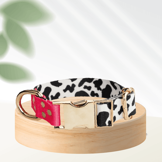 Candy Leo Dog Collar - MakPaws