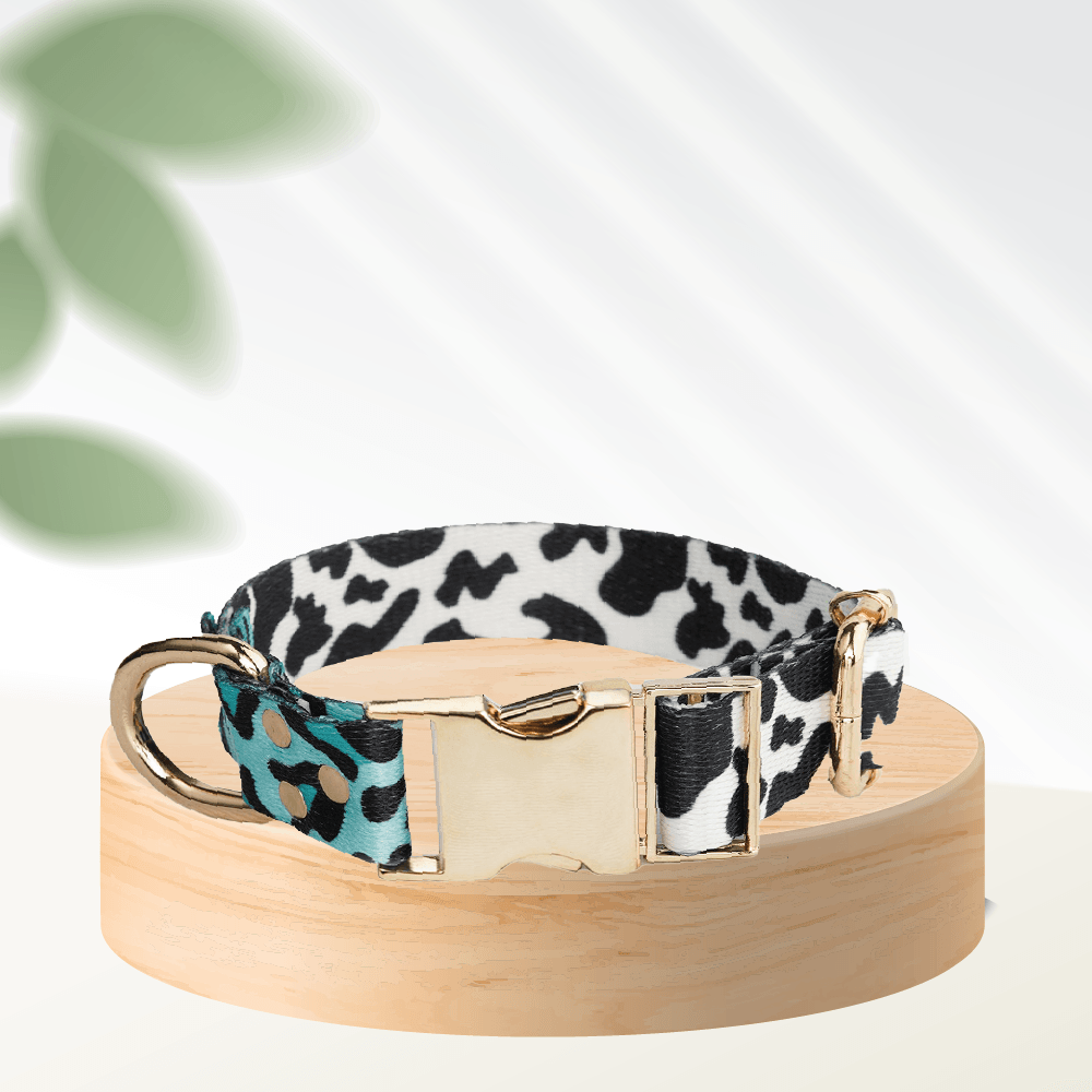 Mint Leo Dog Collar