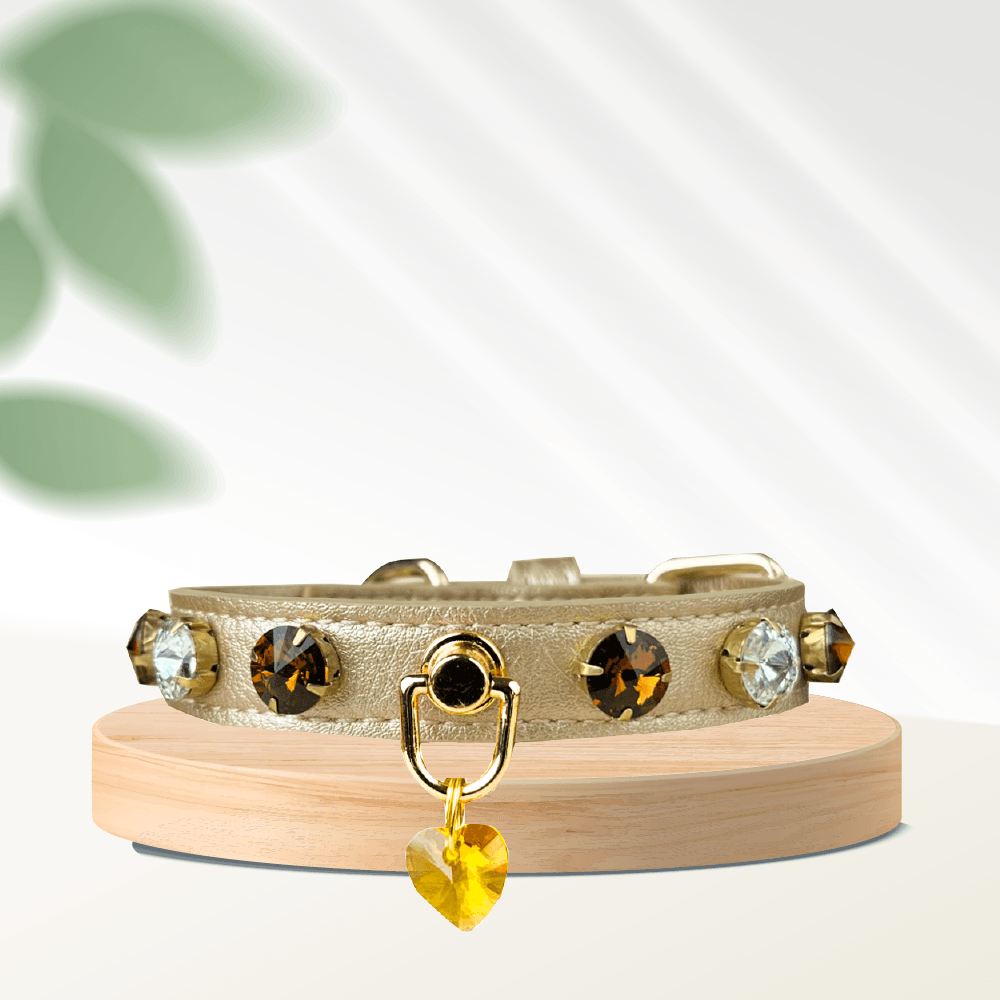 Swarovski-Gold Dog Collar - MakPaws